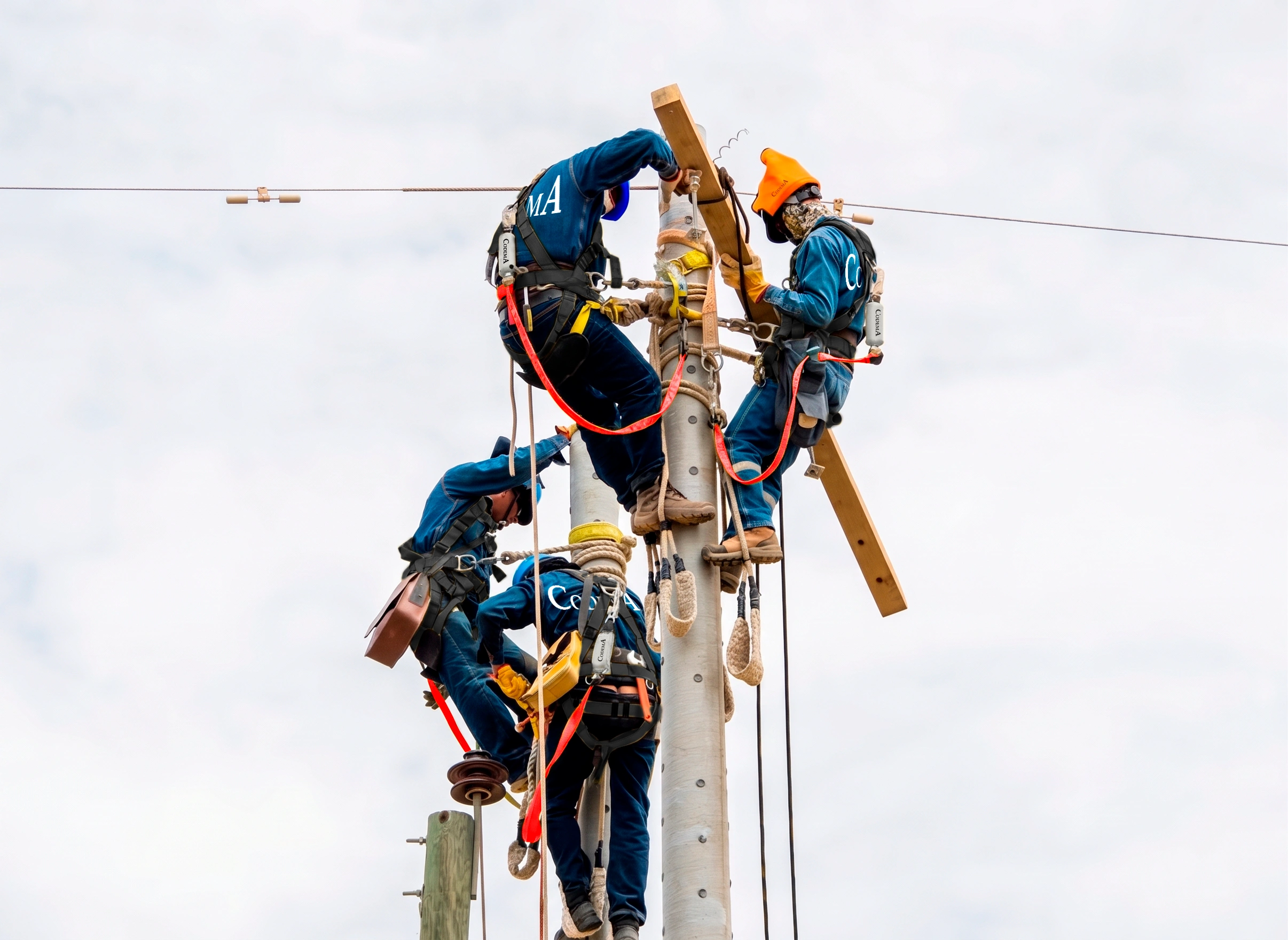 Trabajo sobre estructuras