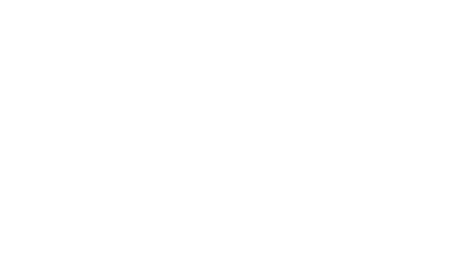 Logo ANSI